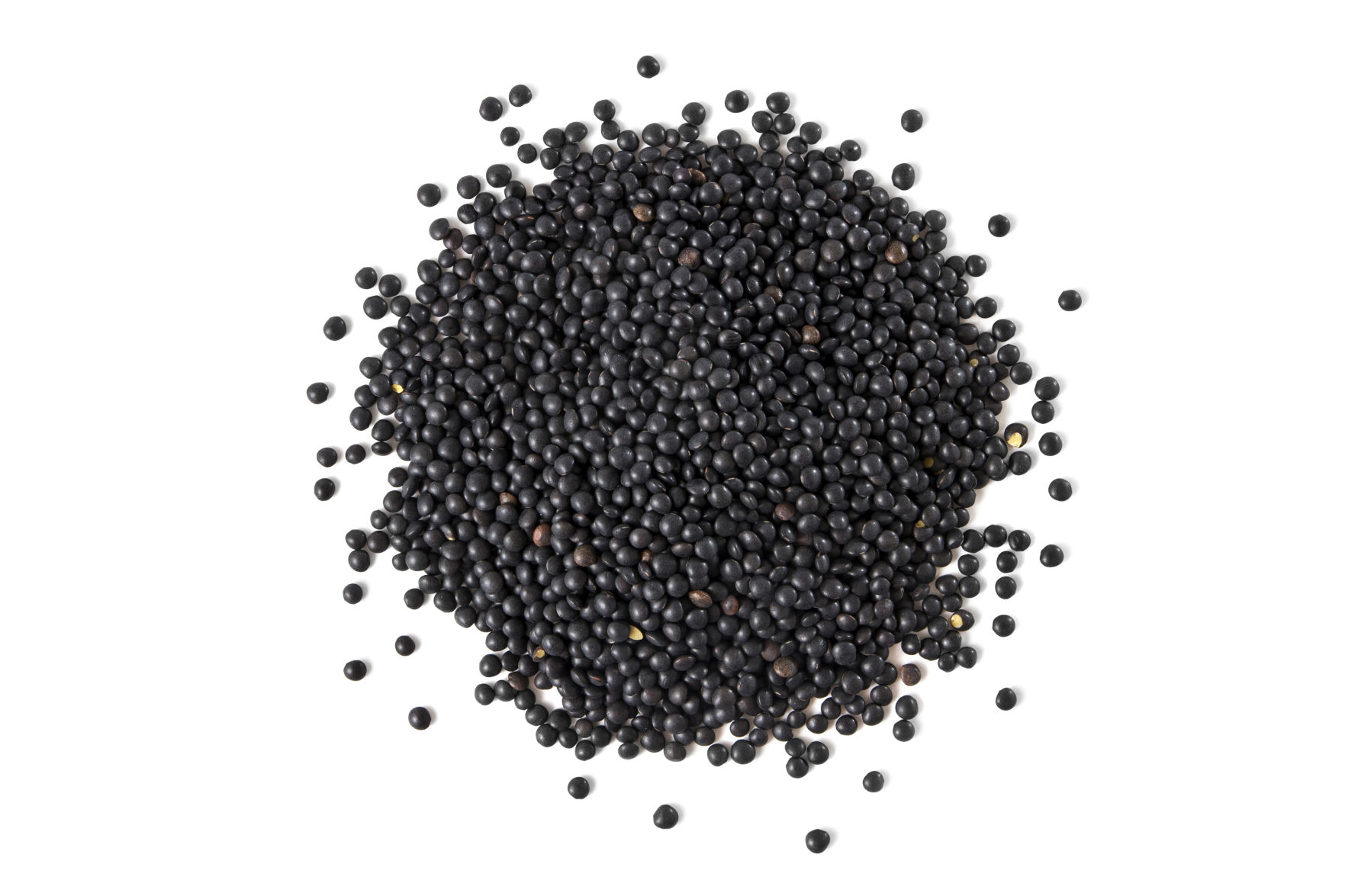 Black Lentils